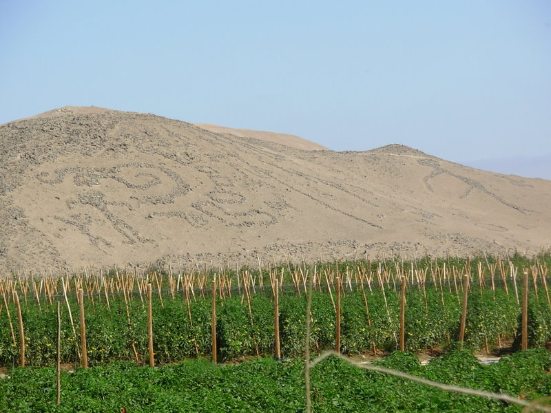 Foto de Arica, Chile