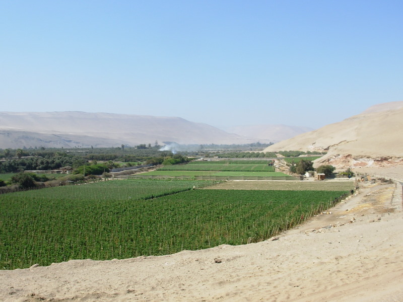 Foto de Arica, Chile