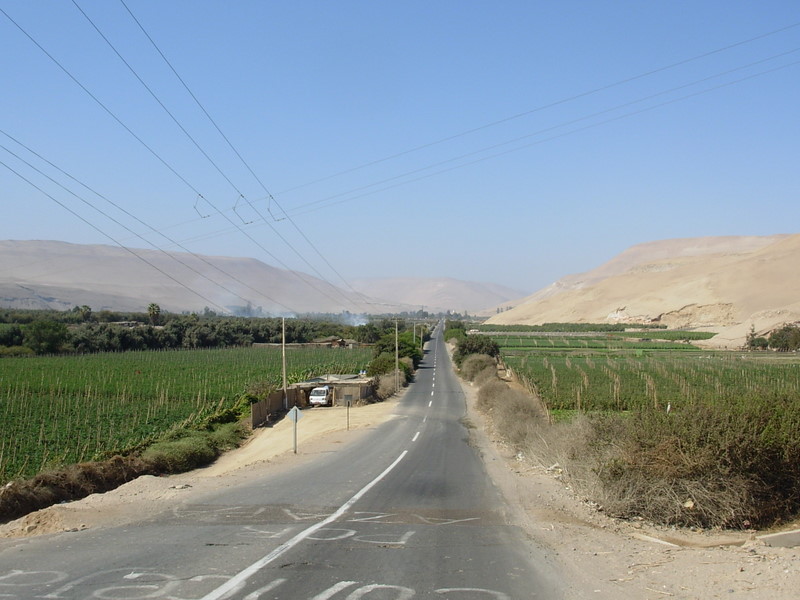 Foto de Arica, Chile