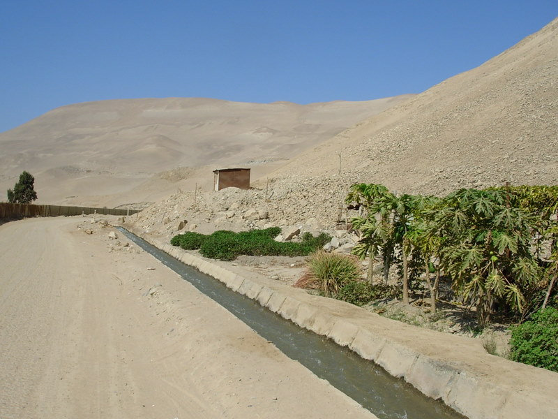 Foto de Arica, Chile