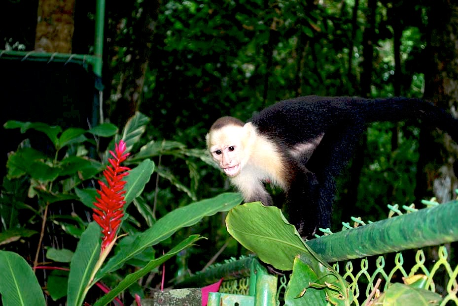 Foto de Puntarenas, Costa Rica