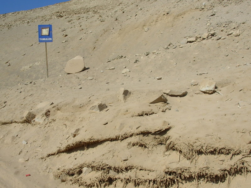 Foto de Arica, Chile