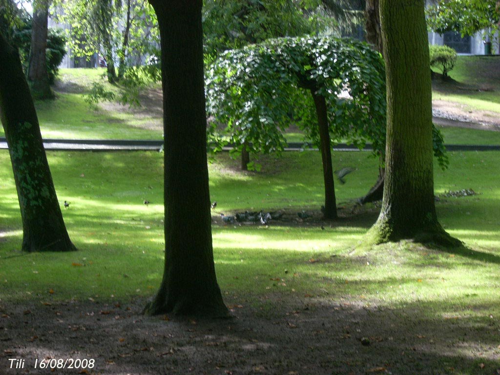 Foto de Oviedo (Asturias), España