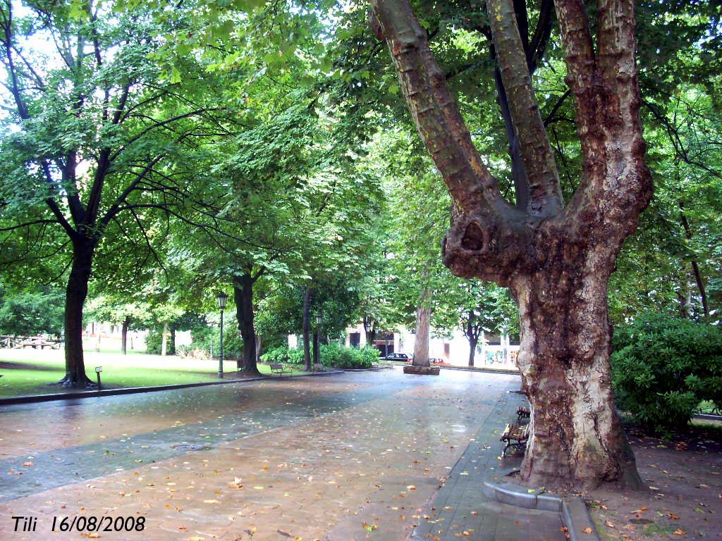 Foto de Oviedo (Asturias), España