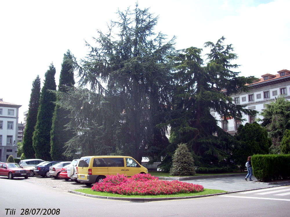 Foto de Oviedo (Asturias), España