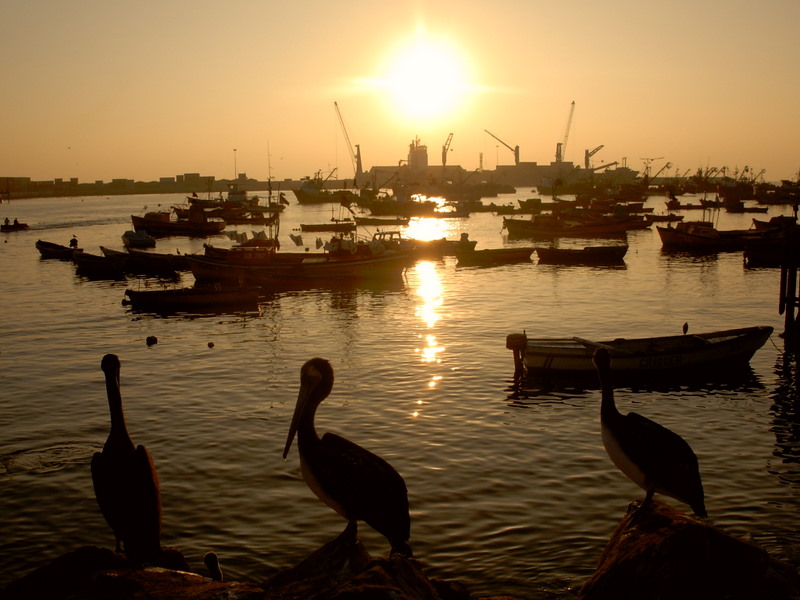 Foto de Arica, Chile