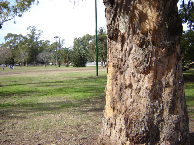 Foto de Buenos Aires, Argentina