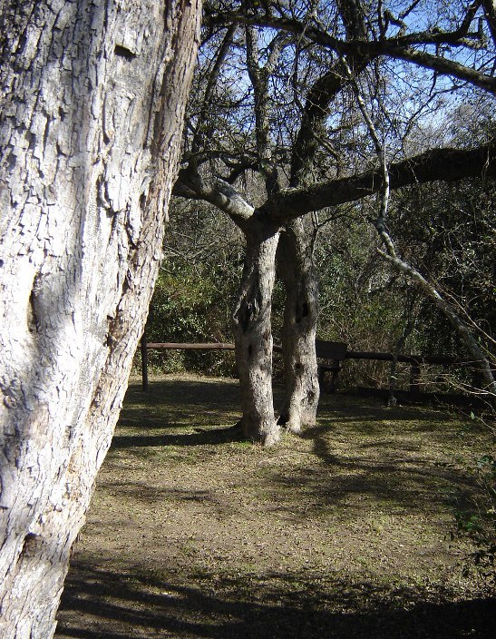 Foto de Otamendi (Buenos Aires), Argentina