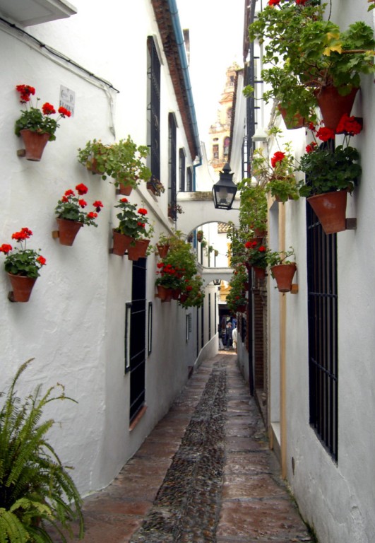 Foto de Ronda (Málaga), España