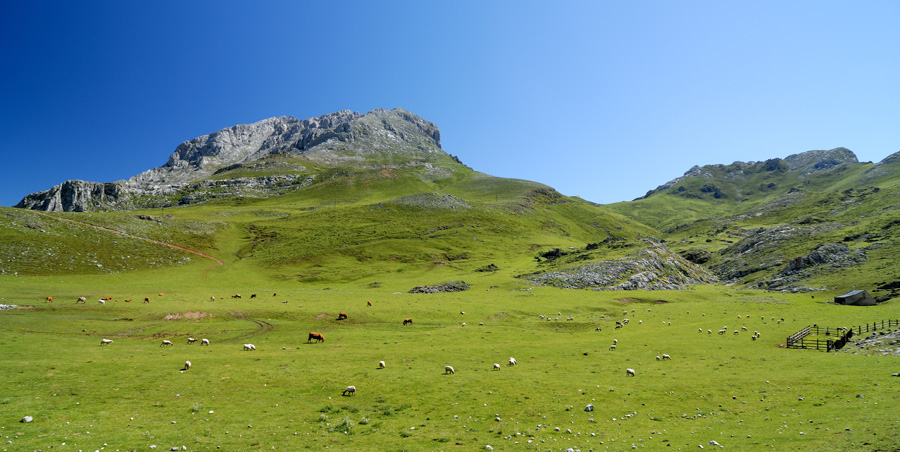 Foto de Picos de Europa (Asturias), España