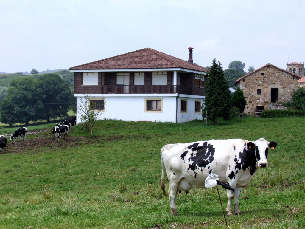 Foto de Penagos (Cantabria), España