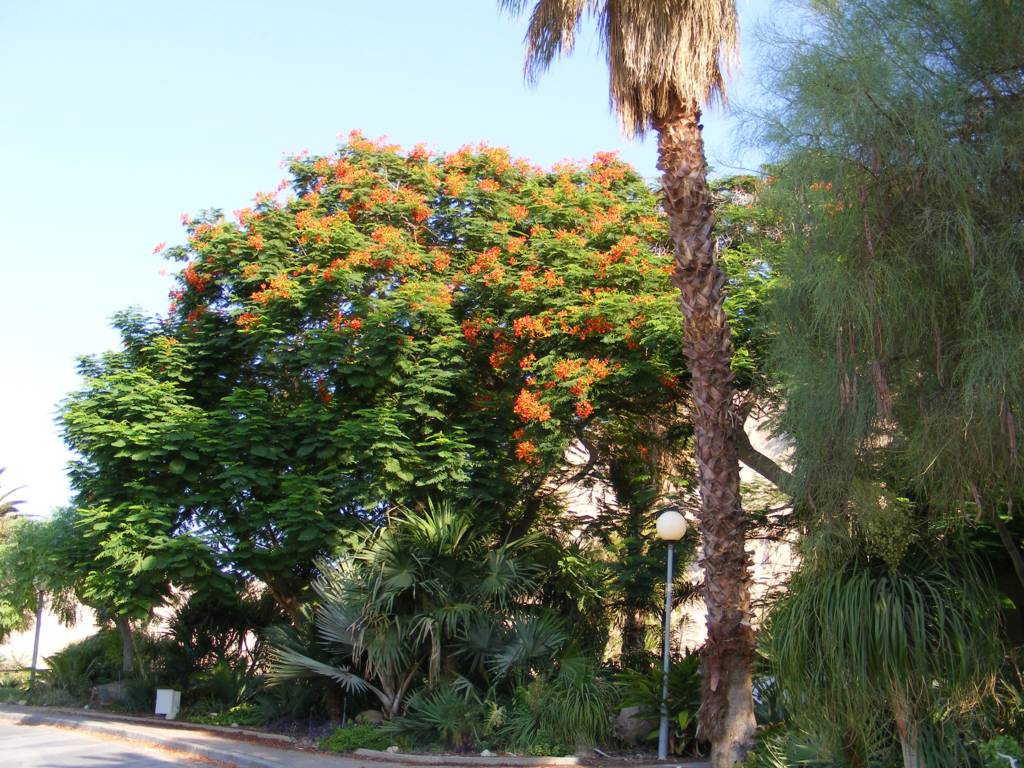 Foto de Ein Gedi, Israel