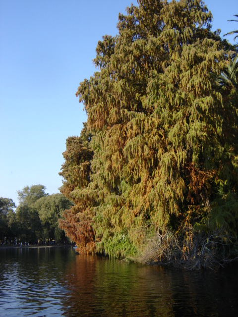 Foto de Buenos Aires, Argentina