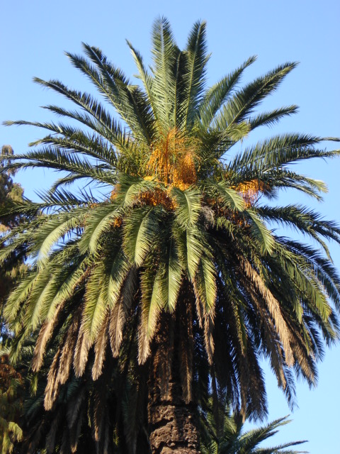 Foto de Buenos Aires, Argentina