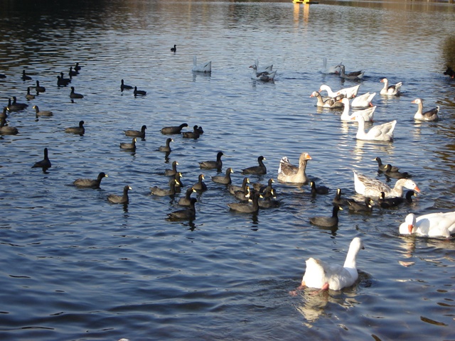 Foto de Buenos Aires, Argentina