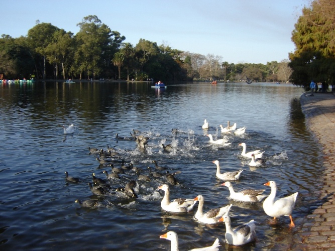 Foto de Buenos Aires, Argentina