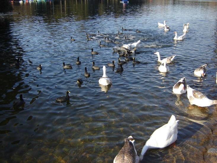 Foto de Buenos Aires, Argentina