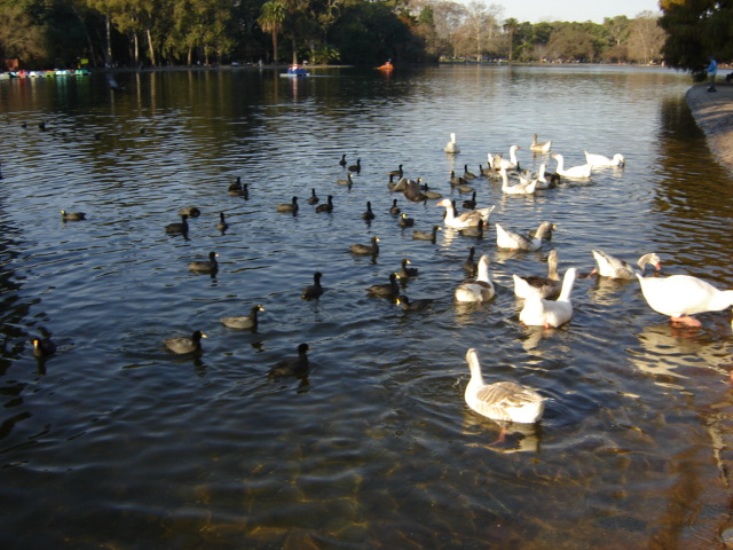 Foto de Buenos Aires, Argentina