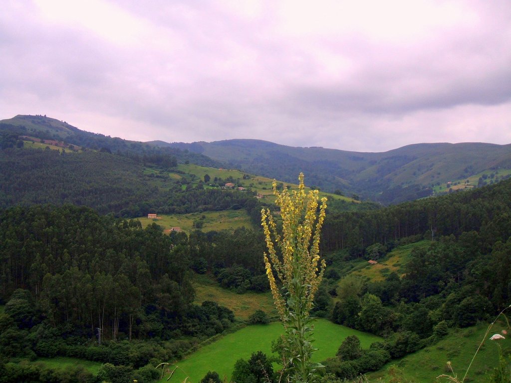 Foto de Puente Viesgo (Cantabria), España