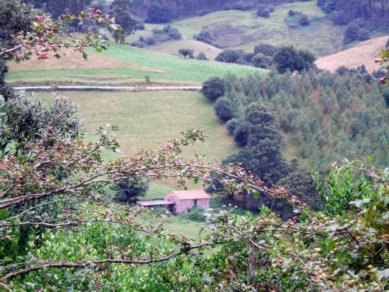 Foto de Puente Viesgo (Cantabria), España