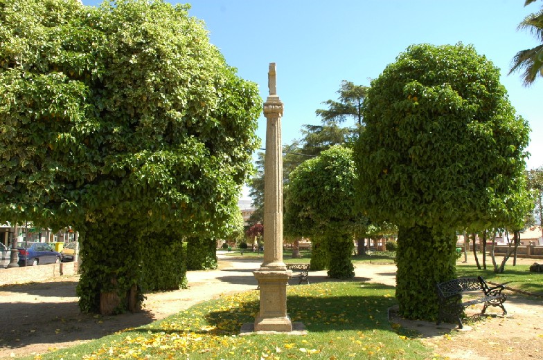 Foto de Plasencia (Cáceres), España