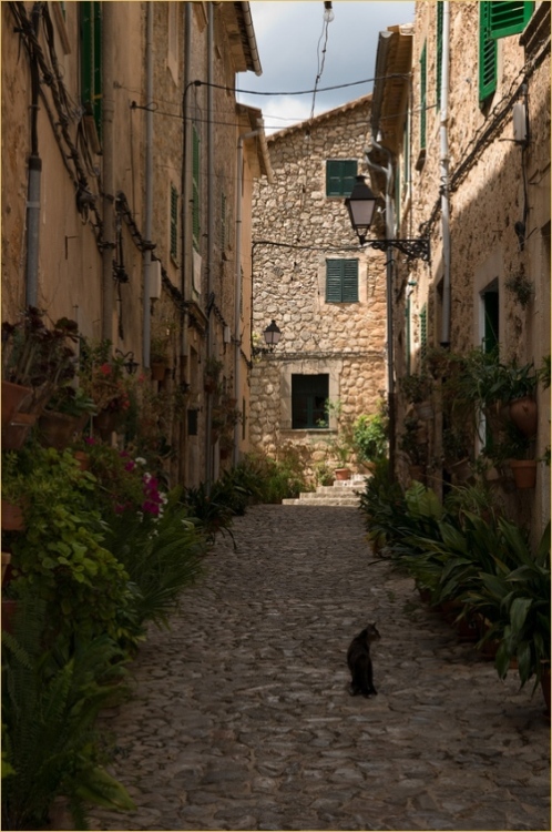 Foto de Mallorca (Illes Balears), España