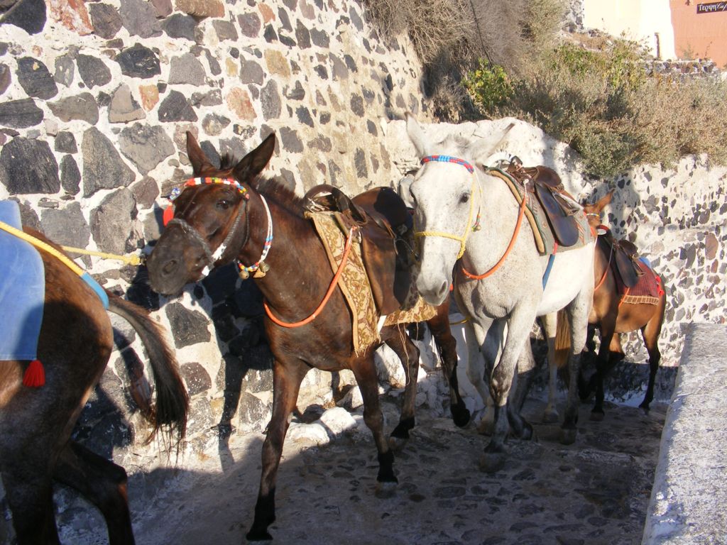 Foto de Fira (Thira), Grecia