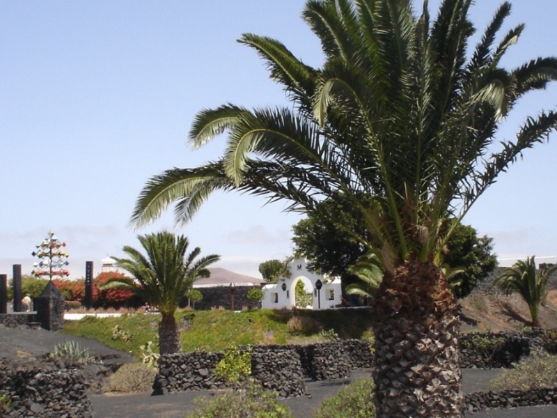 Foto de Lanzarote (Las Palmas), España