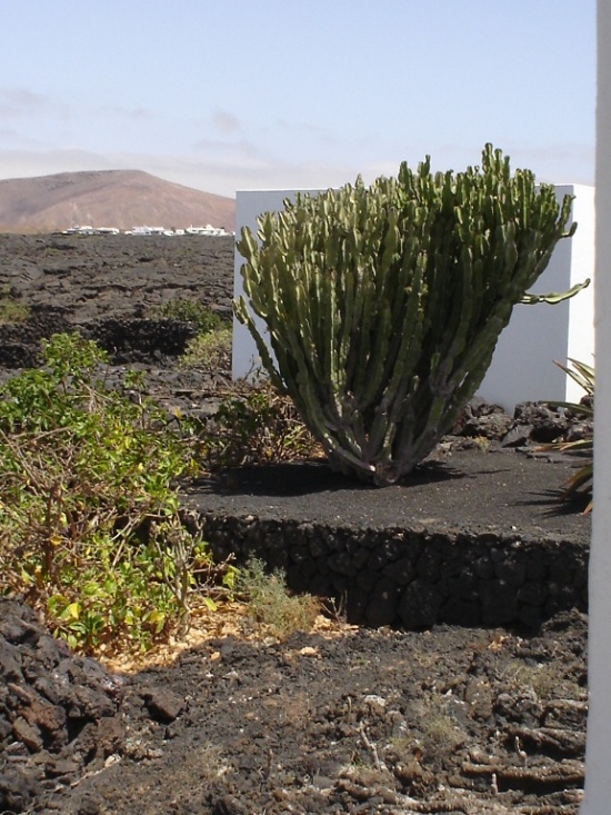 Foto de Lanzarote (Las Palmas), España