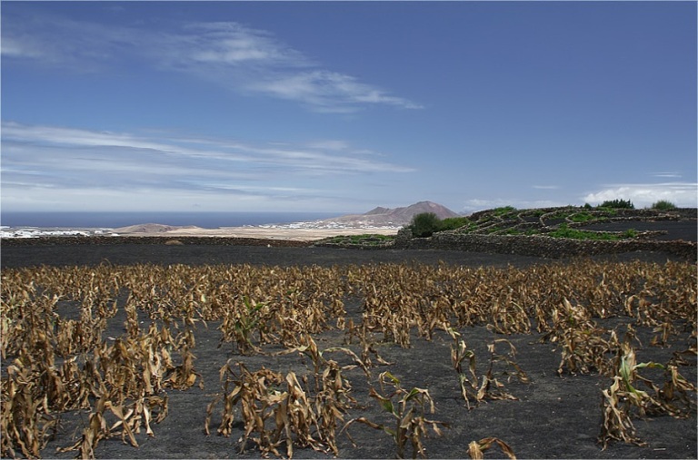 Foto de Lanzarote (Las Palmas), España