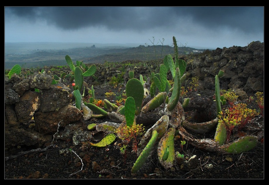 Foto de Lanzarote (Las Palmas), España