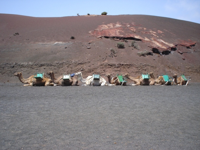 Foto de Lanzarote (Las Palmas), España