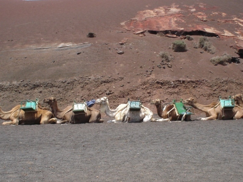 Foto de Lanzarote (Las Palmas), España