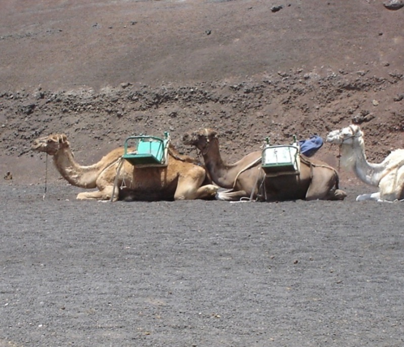 Foto de Lanzarote (Las Palmas), España