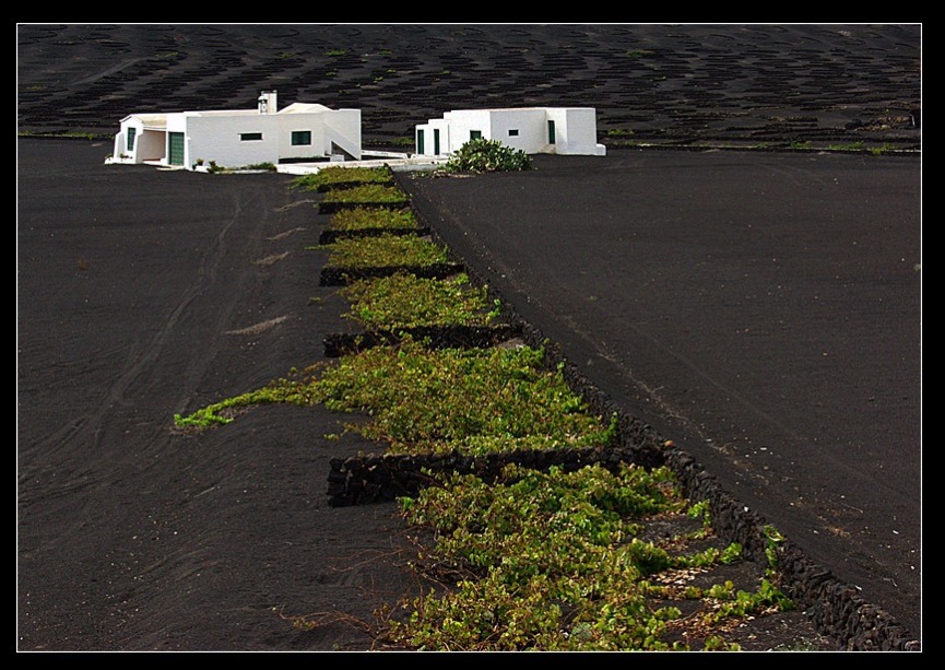 Foto de Lanzarote (Las Palmas), España