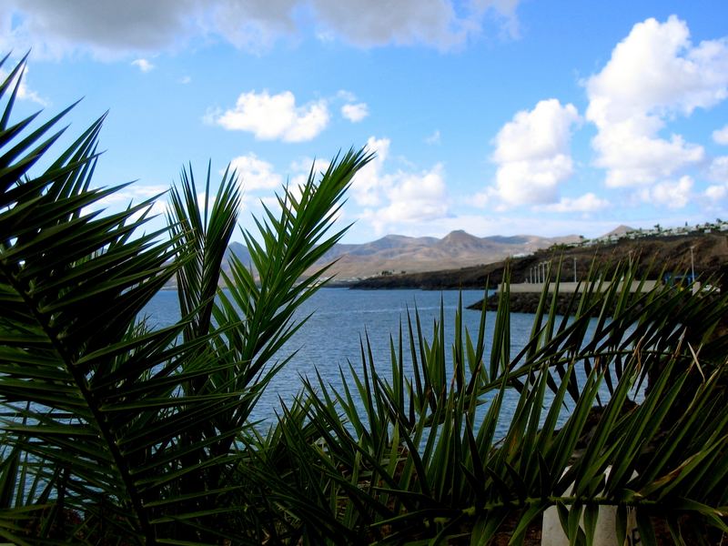 Foto de Lanzarote (Las Palmas), España