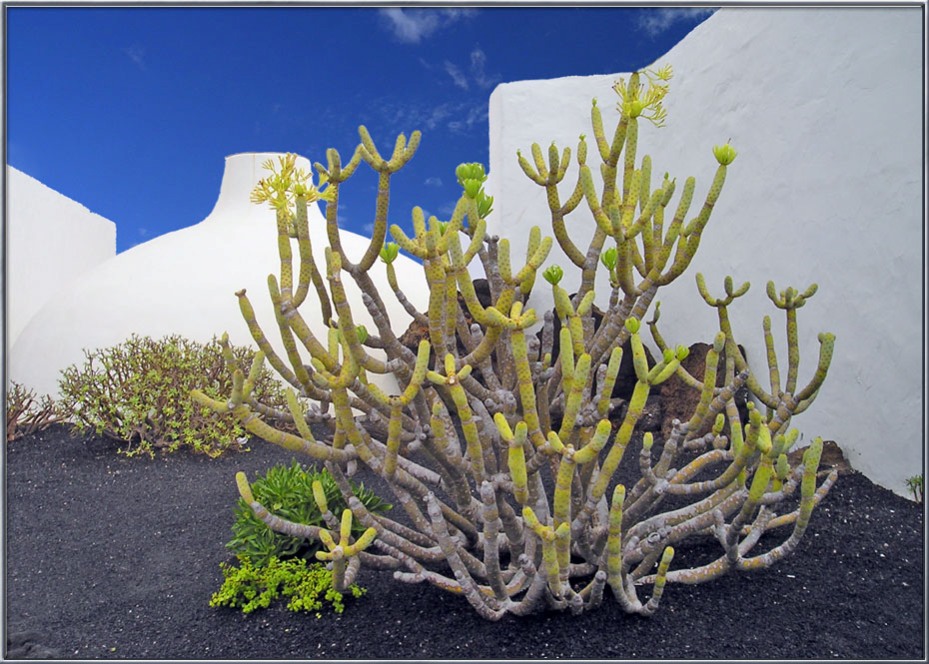 Foto de Lanzarote (Las Palmas), España