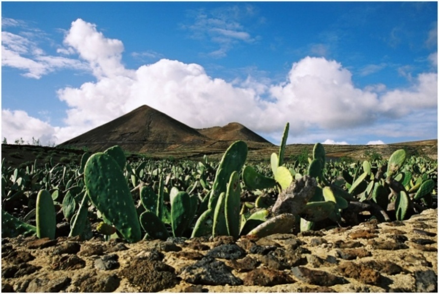 Foto de Lanzarote (Las Palmas), España