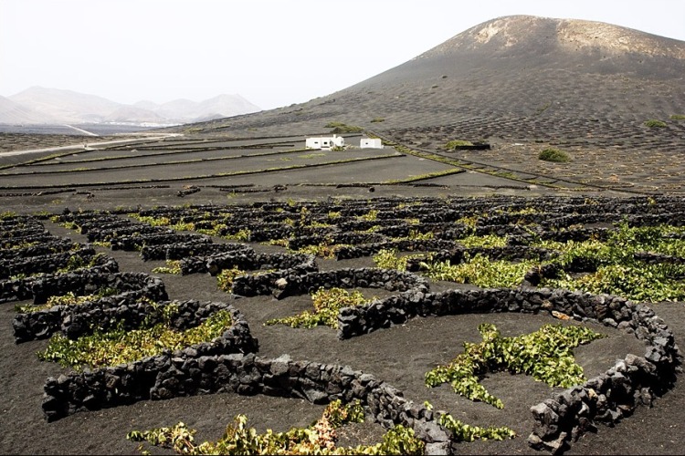 Foto de Lanzarote (Las Palmas), España