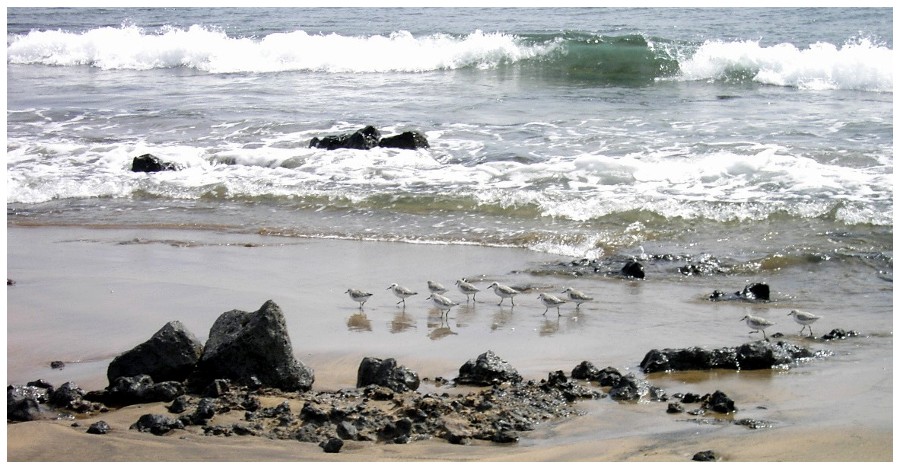 Foto de Lanzarote (Las Palmas), España