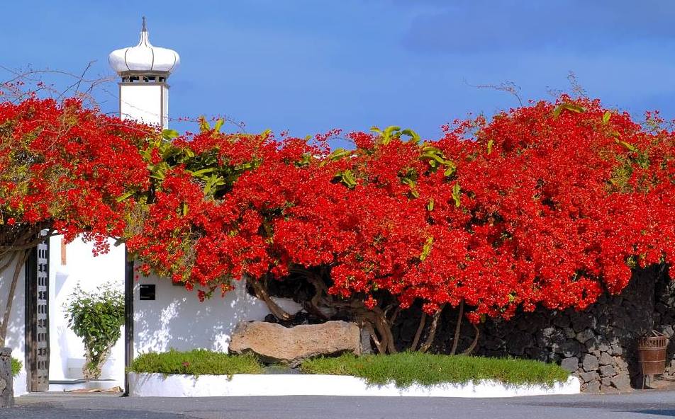 Foto de Lanzarote (Las Palmas), España