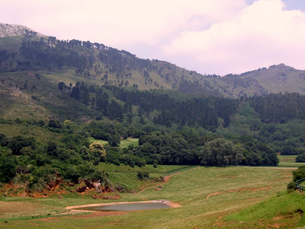 Foto de Cabarceno (Cantabria), España