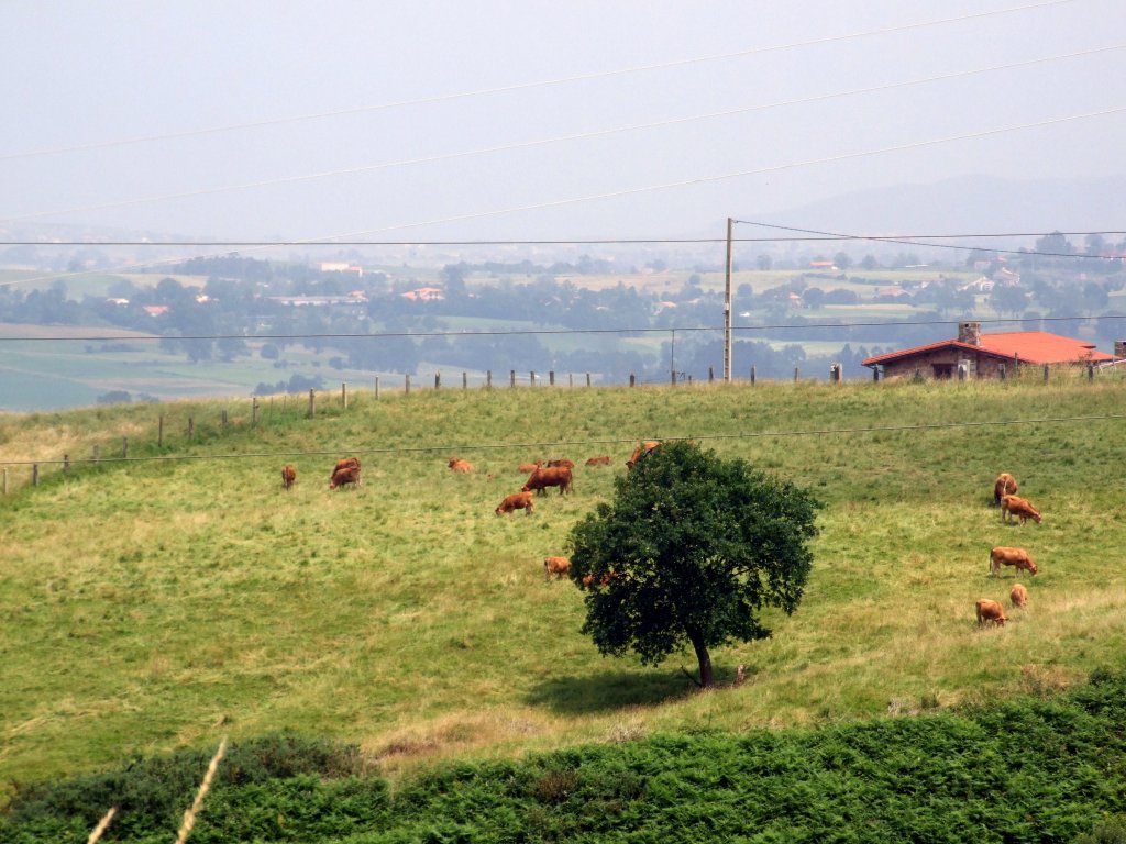 Foto de Heras (Cantabria), España