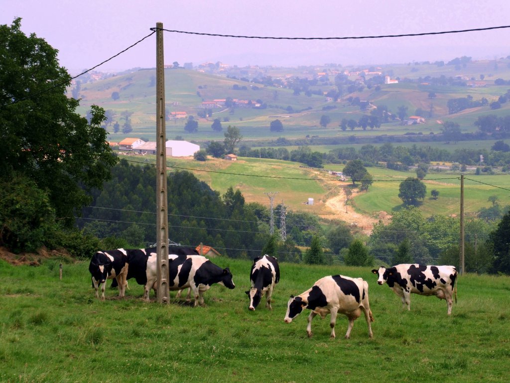 Foto de Heras (Cantabria), España