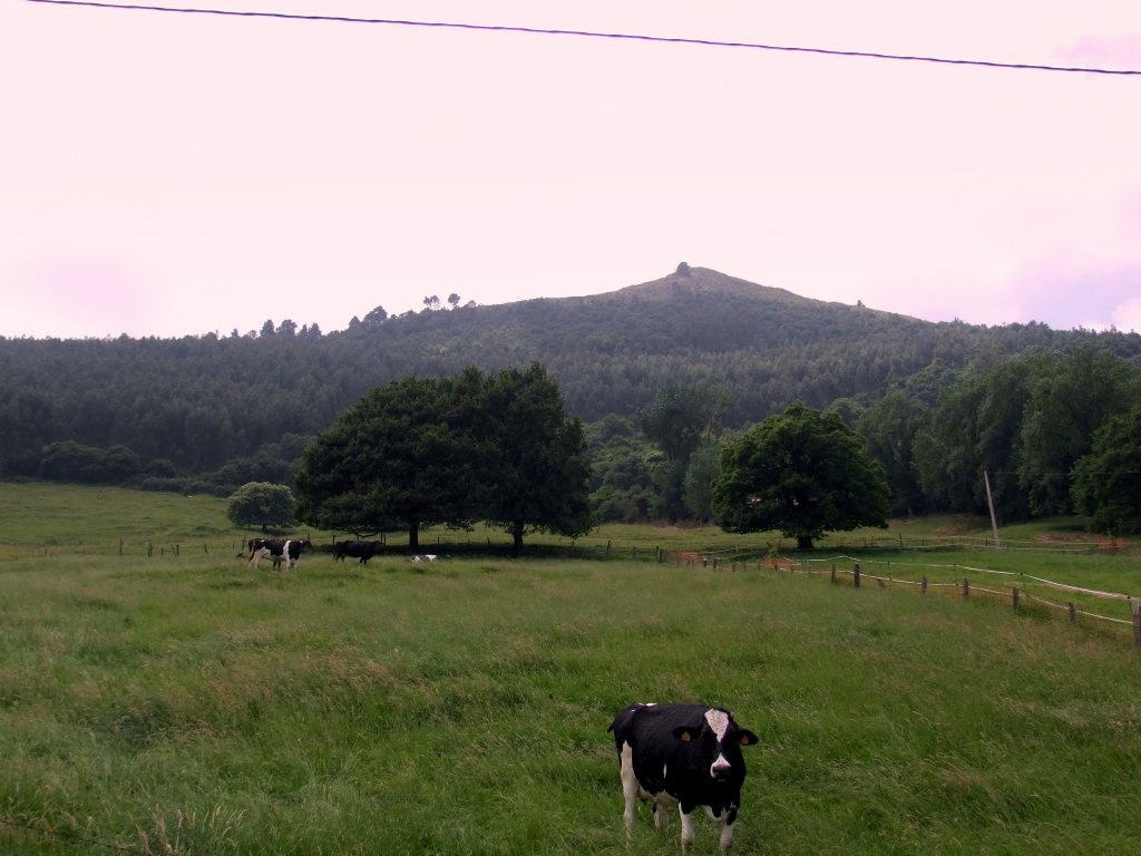 Foto de Heras (Cantabria), España