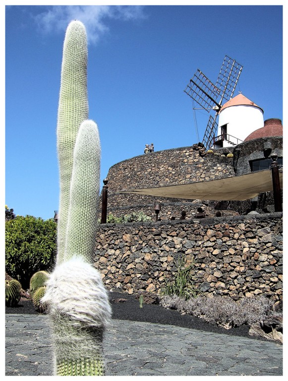 Foto de Lanzarote (Las Palmas), España