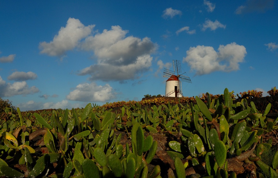 Foto de Lanzarote (Las Palmas), España