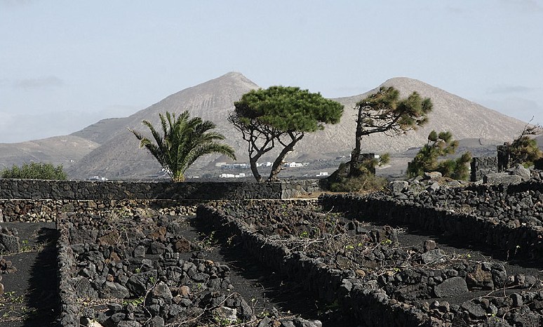 Foto de Lanzarote (Las Palmas), España