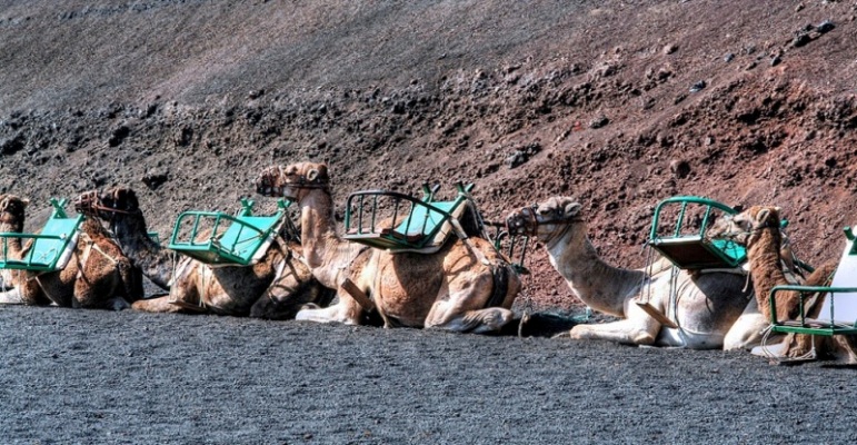 Foto de Lanzarote (Las Palmas), España