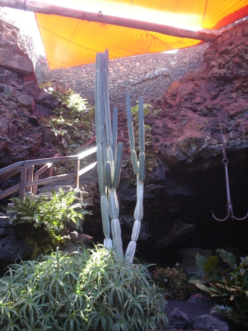 Foto de Lanzarote (Las Palmas), España